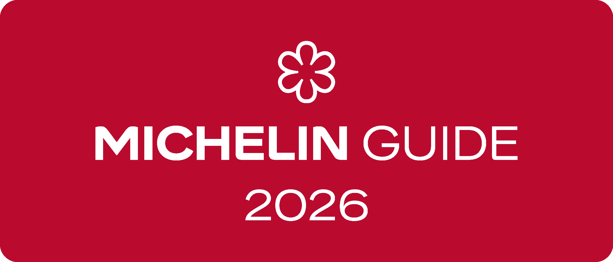 Michelin logo